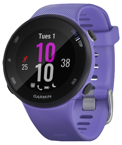 GARMIN FORERUNNER 45S IRIS/BLACK