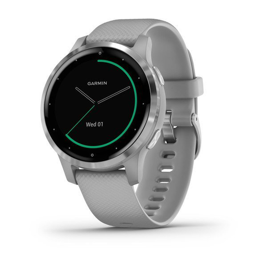 GARMIN VIVOACTIVE 4S, POWDER GRAY/STAINLESS