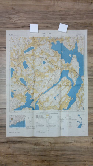 T ym. Raittinen (kartoitus) : Koisjärvi 1:20000 n:o 2041 02