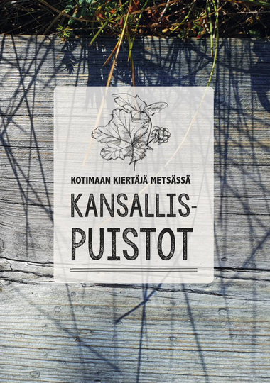 Kotimaan Kiertäjä Metsässä