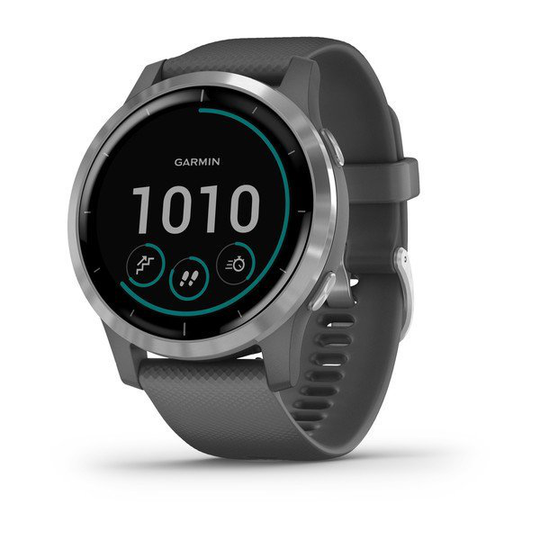 GARMIN VIVOACTIVE 4, SHADOW GRAY/STAINLESS