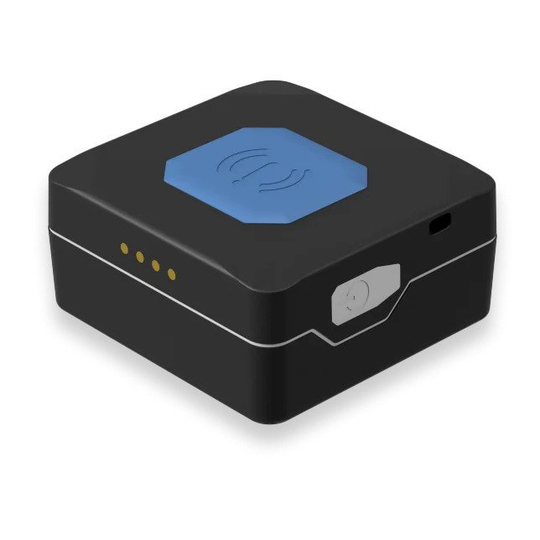 TELTONIKA TMT250