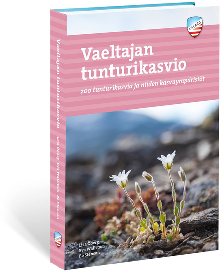 Tunturikasvio